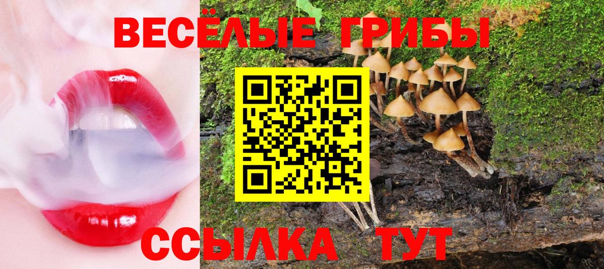 Псилоцибиновые грибы мицелий Бузулук
