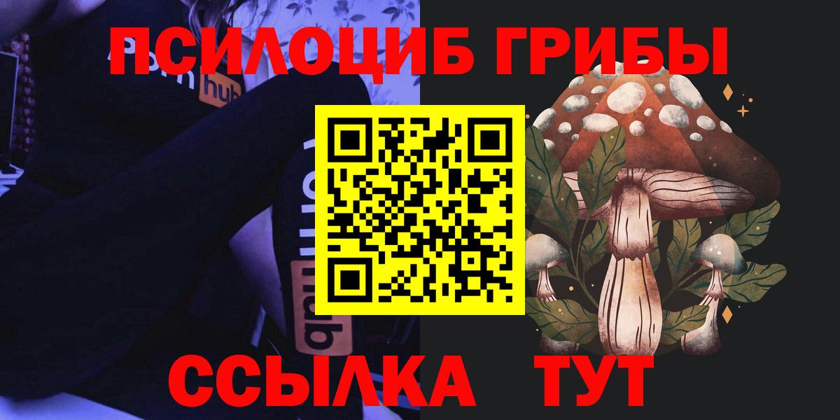 Галлюциногенные грибы MAGIC MUSHROOMS  Галлюциногенные грибы Psilocybe  купить   Вход с VPN  Бузулук 
